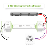 Zigbee Tuya Driver Led, dua saluran dapat diredupkan Driver Led 60W