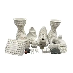 Custom White ABS Plastic PP PA Mesh Decoration SLS SLA 3D Printing Machining Service