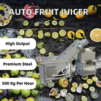 Volledig automatische citrusvruchtensap was-, hef- en productielijn; passievrucht-, citroen- en grapefruitsapverwerkingslijn