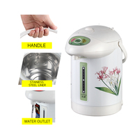 Bouilloire Électrique 750W avec Revêtement en Acier Inoxydable, Distributeur d'Eau Chaude avec Verrouillage Enfant, Économe en Énergie pour Cuisine et Usage Domestique