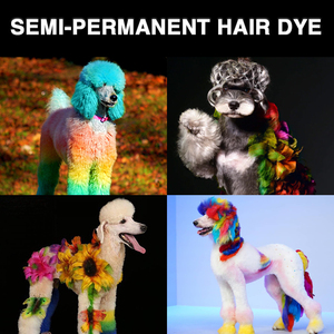 <span class=keywords><strong>Peinture</strong></span> en aérosol non toxique pour animaux de compagnie, respectueuse de l'environnement, colorant permanent pour les poils de <span class=keywords><strong>chien</strong></span>, colorant pour animaux de compagnie - Product Image 5