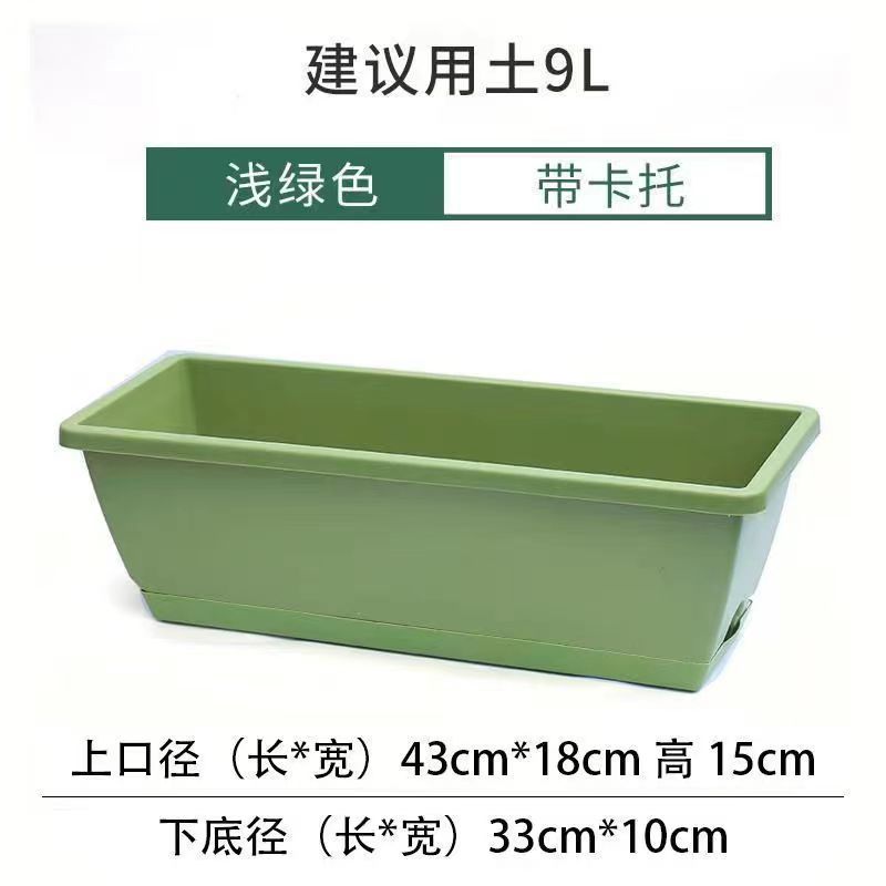 Fruit vert taille moyenne 43*15 cm avec plateau