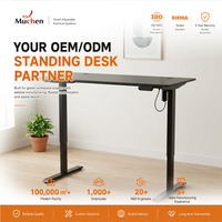 Bureau électrique réglable en hauteur pour assise et position debout, fixation murale, montage requis, usage commercial, idéal pour le bureau - Vente chaude usine
