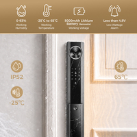 Serrure Intelligente de Luxe H01 Entièrement Automatique Tuya avec Reconnaissance Faciale et Veineuse, Étanche, Alimentation Type-C, Modèle 6068, avec Caméra et Écran