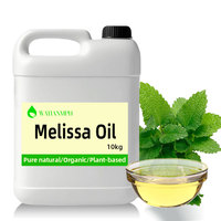 Huile de Mélisse Distillée à la Vapeur à Partir de Feuilles Fraîches d'Officinalis, Sans Solvants Chimiques, pour l'Utilisation dans les Savons, les Lotions et les Produits de Soins Personnels