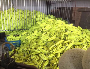 Köpekler için büyük tenis topu 9.5 "şişme dev tenis topları Pet Chew oyuncak köpek tenis topu büyük Pet oyuncaklar komik açık spor - Product Image 6