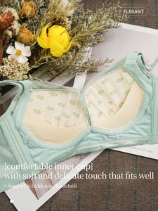 Nouveau modèle de soutien-gorge sans rembourrage, soutien-gorge sexy pour adultes en nylon pour femmes, soutien-gorge en dentelle sans couture, soutien-gorge uni teint, armatures, fermeture au dos - Product Image 5