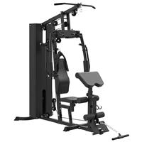Équipement de fitness et d'entraînement musculaire Aist pour la maison, appareil combiné d'exercice de force en intérieur, station d'entraînement individuelle 168 kg