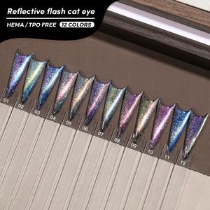 JTING Hot Trend <b>Reflective</b> Flash Cat Eye <b>Gel</b> <b>Polish</b> 12 Shades Super <b>Glitter</b> Cat Eye <b>Gel</b> TPO/Hema Free OEM ODM Uv <b>Gel</b> Nail <b>Polish</b> - Product Image 1