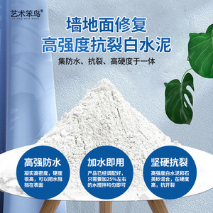 Artistic Bird White Cement 1kg Quick-drying Waterproof Crack Filling Tile Repair Mortar - Product Image 2