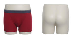 Nuevo Expositor de Ropa Interior y Pantalones Masculinos, Maniquí de Cadera con Material FRP Ecológico - Product Image 4