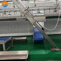 Machine automatique inclinée pour l'abattage de moutons/chèvres, moteur haute productivité, équipement de dépecage en acier inoxydable pour abattoir