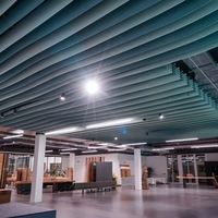 Panneaux en feutre acoustique écologiques, ignifuges et imperméables, design moderne, insonorisation pour plafond, hôtel, appartement, salon, design graphique