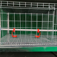 Cage d'élevage pour poussins d'un jour, conçue pour les fermes avicoles