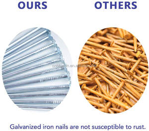 Оцинкованный стальной проволочный гвоздь 1 кг в коробке 25 кг в коробке гладкий хвостовик для строительного материала - Product Image 6