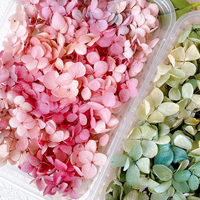 Bouquet d'hortensias séchés et préservés, élégant coffret cadeau, arrangement floral, cadeaux d'anniversaire, faveurs de fête, décoration de table de mariage, remise de diplôme