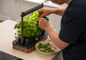 Lampes solaires numériques intelligentes écologiques pour <span class=keywords><strong>jardin</strong></span>, en plastique, pour usage domestique au sol, avec fonctions électroniques, pots et jardinières intelligents - Product Image 5