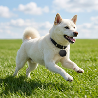 Dispositif de suivi pas cher Micro avec suivi fin et léger et plastique écologique pour chiens chats Suivi d'animaux de compagnie