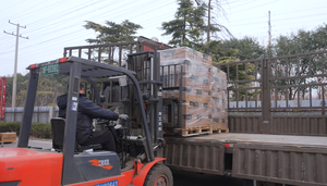 Candele di Accensione per Cayenne Turbo 957, Porsche, <span class=keywords><strong>Ford</strong></span> <span class=keywords><strong>Fiesta</strong></span> OE601, CHAMPION, Candela Ecoboost, Candela all'Iridio per Honda Fit Hybrid - Product Image 6