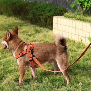 Venta caliente 1 ''Collar de perro reflectante de nailon naranja de alta calidad y correa con patrón impreso y cintas decorativas - Product Image 3