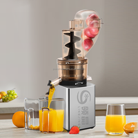 600W Commerciële Roestvrijstalen Huishoudelijke Brede Parachute Kauwen Trage Snelheid Koude Pers Appel Oranje Vers Fruit Juicer Machine