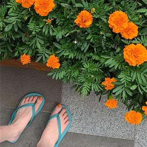 XIXITIAO, zapatillas informales <span class=keywords><strong>de</strong></span> playa <span class=keywords><strong>de</strong></span> verano, zapatos deslizantes antideslizantes <span class=keywords><strong>de</strong></span> PVC <span class=keywords><strong>para</strong></span> mujer, <span class=keywords><strong>chanclas</strong></span> <span class=keywords><strong>de</strong></span> suela blanda, antideslizantes <span class=keywords><strong>para</strong></span> <span class=keywords><strong>niñas</strong></span> - Product Image 6