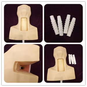 ผลิตภัณฑ์วิทยาศาสตร์ทางการแพทย์ที่เหมือนจริงเหมือนจริงโมเดลพีวีซีแบบมี J58ขั้นสูงสร้างแบบจำลองได้อย่างชัดเจนสำหรับโรงพยาบาลคลินิกวิทยาลัย - Product Image 6