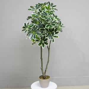 Árbol Artificial Nuevo, Planta Artificial, Árbol Artificial de Schefflera <span class=keywords><strong>Arboricola</strong></span> con Maceta Decorativa, Venta al por Mayor de Fábrica China - Product Image 2