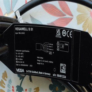 Vegawell S 51 Medidor de Nivel de Aluminio con Precisión del 0.2% Relativa 0.1 0.2 0.4 1 2.5 bar para Procesos Industriales - Product Image 2