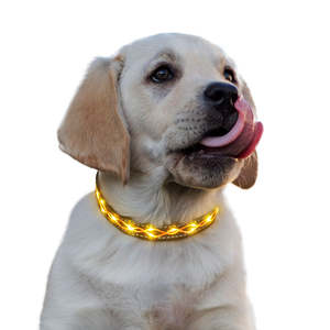 Venta al por mayor <span class=keywords><strong>Collar</strong></span> para mascotas <span class=keywords><strong>Collar</strong></span> de perro de poliéster suave recargable con luz LED brillante para perros pequeños y gatos Seguridad nocturna - Product Image 2
