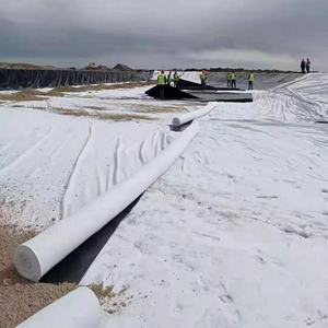 Géotextile non tissé de polyester de fibre courte 300g pour <span class=keywords><strong>le</strong></span> géotextile non tissé renforcé de lit de route ferroviaire d'autoroute - Product Image 6