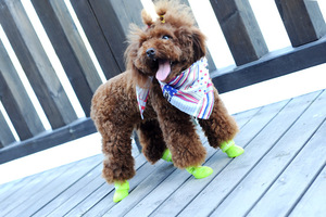 Chaussures de pluie antidérapantes en caoutchouc Candy Colors Puppy Uggs - Product Image 6