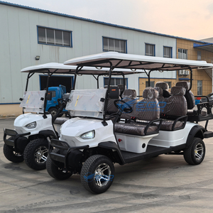 Carrito de Golf Eléctrico Blanco Popular de 48v para 6 Pasajeros, Buggy de Golf para Turismo Todoterreno en Oferta - Product Image 1