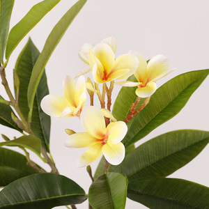 Flor Artificial de Frangipani de 2 Ramas, Rama Individual, Alta Simulación, Decoración de Boda, Flores de Seda Plástica, Rosa Blanca Amarilla - Product Image 4