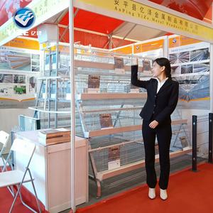 Cages automatiques pour poules pondeuses, cages en batterie, poules pondeuses, maille de fil galvanisé, matériau en fil galvanisé et cages à poules pondeuses, CN;HEB - Product Image 3