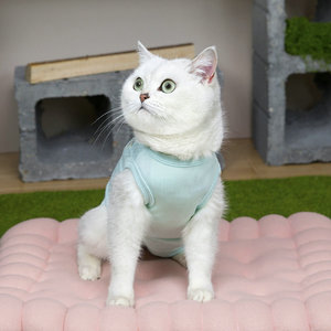 Abbigliamento per Animali Domestici: Tuta Chirurgica Traspirante Anti-Leccatura per Gatti Femmina e Maschio, Post-Operatoria per <span class=keywords><strong>Sterilizzazione</strong></span>/Neutrazione - Product Image 5