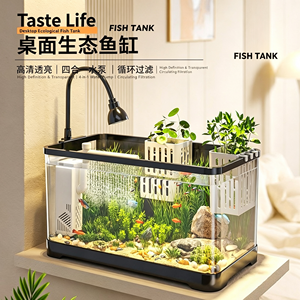 Pecera Pequeña Moderna <span class=keywords><strong>para</strong></span> Sala <span class=keywords><strong>de</strong></span> Estar o Aula, Completa con Sistema <span class=keywords><strong>de</strong></span> Filtración, Ideal <span class=keywords><strong>para</strong></span> Regalos <span class=keywords><strong>de</strong></span> Cumpleaños y Navidad, Venta al Por Mayor - Product Image 4