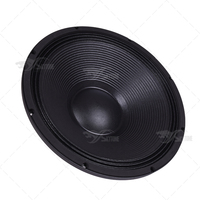 18TBX100 Caisson de basses magnétique en ferrite de 18 pouces Caisson de basses audio professionnel