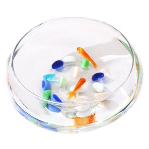 Atacado moderno de grande diâmetro vaso de vidro transparente Narciso pote Hidropônico pennywort tigela Lotus tigela - Product Image 6