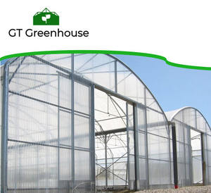 Invernadero de un Solo Tramo con Acero Galvanizado - Product Image 1