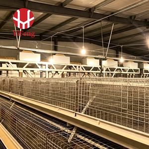 Nuevo Sistema <span class=keywords><strong>de</strong></span> Alimentación Automática para Jaulas <span class=keywords><strong>de</strong></span> Acero Galvanizado Tipo A, Equipo Comercial para Cría <span class=keywords><strong>de</strong></span> Pollos <span class=keywords><strong>de</strong></span> Corral - Product Image 3