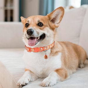 Collier pour chat et chien en nylon réglable avec clochette, motifs de pattes multicolores, vente en gros du fabricant - Product Image 4