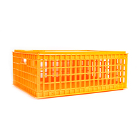 Caisse de transport en plastique de haute qualité pour volailles, cages pour animaux pour le transport de volailles