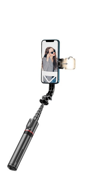 OEM L12D Portable LED Fill Light Selfie Stick Tripod Wireless Remote Telescopic Phone Stand Detachable Holder for Vlog Video