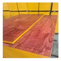 Offre Spéciale : Panneau de Contreplaqué Filmé Double Face à Bords Rouges de 12 mm pour la Construction – Fabricant de Contreplaqué