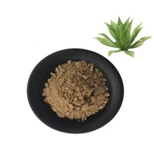 100% 天然植物エキス粉末リュウセンツラン葉エキスリュウセンツラン - Product Image 3