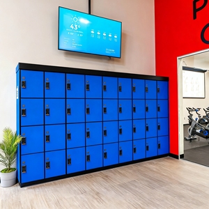 Metal Lockers Changing Room Gym Locker Staff Clothes <b>Storage</b> Cabinet <b>Cupboard</b> Employee Steel Wardrobe Locker - Product Image 2