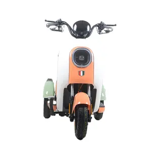 Triciclo elettrico a 3 ruote triciclo elettrico a tre ruote per il tempo libero triciclo Pedicab Trike veicolo per adulti