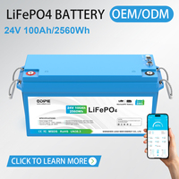 Batterie LiFePO4 24V 100Ah pour camping-car et bateau, avec CAN RS485 Bluetooth BMS IP67 compacte pour voiture, camping et bateau de dérive en rivière