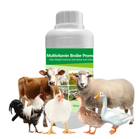 Vitamines C liquides, électrolyte liquide oral, électrolyte + vitamine C, solution orale pour une récupération rapide et la santé animale